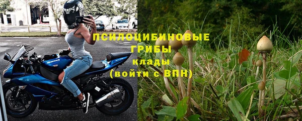 первитин Дмитров