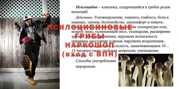 mdpv Гусиноозёрск
