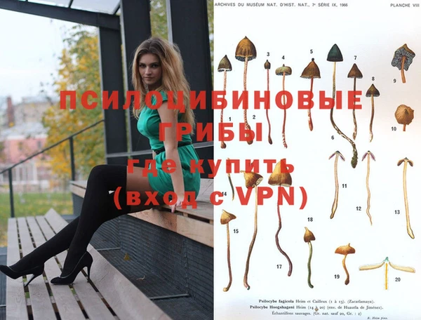 прущая мука Дмитриев