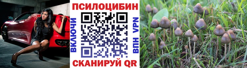 Галлюциногенные грибы мухоморы  darknet как зайти  Димитровград 