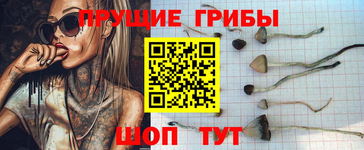 Псилоцибиновые грибы прущие грибы  Вход с VPN  Димитровград 