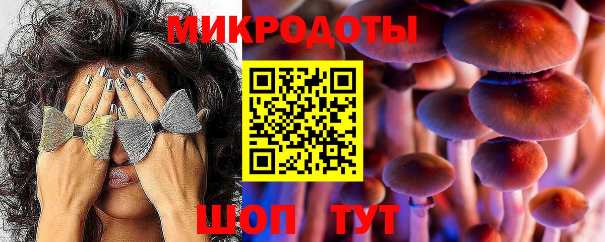 Псилоцибиновые грибы ЛСД Димитровград